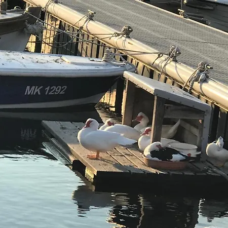 Aquamarin, Blizu Mora S Pogledom Na More, Za Do 6 Osoba Apartmán *